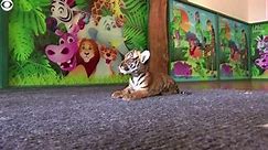 Tiger cub makes debut in China
