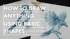 How to Draw Anything Using Basic Shapes
