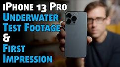 Filming Underwater with a iPhone 13 Pro 📱🌊🐠 Test footage & first impression