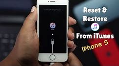 How to Reset iPhone 5s and FULLY Restore from iTunes | iPhone 5s/5c/5 DFU Mode