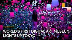 World’s first digital art museum lights up Tokyo, Japan