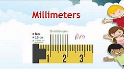 Measurement in Millimeters