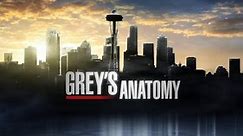 'Grey's Anatomy' Bringing Back Former Doctor in Season 20