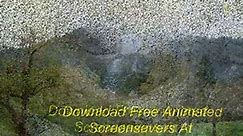 Download Free Animated Screensavers Forest Camp