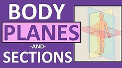 Body Planes and Sections: Frontal, Sagittal, Oblique, Transverse | Anatomy and Physiology