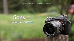 Sony a1 overview