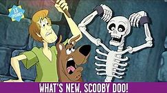 New This Week | What's New, Scooby Doo! | Boomerang