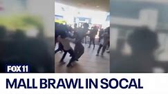 Massive brawl breaks out at Torrance mall
