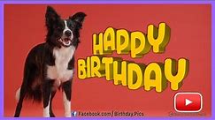 Happy Dog Greets Your Birthday - Happy Birthday 🐕🎂