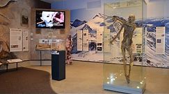 Museum Tour: Ötzi the Iceman