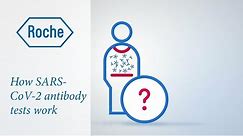 How do antibody tests work?
