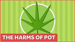 The Harms of Marijuana