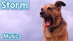 Storm Music for Dogs! Distract Your Dog from The Storm with this Calming Music! Reduce Storm Anxiety
