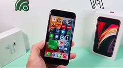 iPhone SE (2nd GEN) Worth It in 2022?