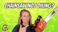 How to fix a chainsaw that is not oiling. Echo CS-355T Complete oil system diagnoses and Repair.