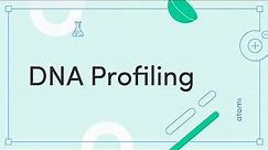 Y11-12 Biology: DNA Profiling