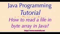 How to read a file in byte array in Java?