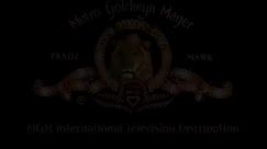 Metro-Goldwyn-Mayer Animation/MGM International Television Distribution (1998)