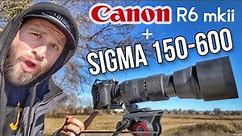 Sigma 150-600 Contemporary + Canon R6 MKII: Review & Sample Photography Settings