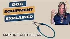 Choosing the Right Collar: The Martingale Collar for Dog Safety and Comfort