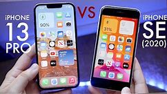 iPhone 13 Pro Vs iPhone SE (2020)! (Comparison) (Review)