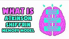 What is Atkinson–Shiffrin Memory Model | Explained in 2 min