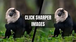 How to GET SHARPER IMAGES? | 3 Main Reasons Behind Blur/Unsharp Images