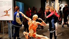 Interviews, photos & video: 'Bodies Revealed' exhibit showcases preserved human bodies at Science Museum Oklahoma