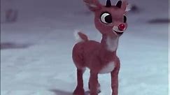 Rudolf czerwononosy renifer(Rudolph The Red Nosed Reindeer)1964