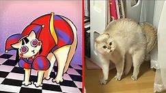 The Amazing Digital Circus Cat and Dog Version | Cat Memes