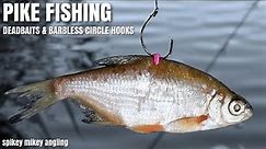 Pike Fishing - Dead Baits & Barbless Circle hooks.