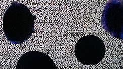 TV Screen Repair Black Circles & Ink Dots on LCD & LED TV Screens & Panels