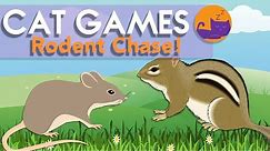INTERACTIVE Cat Games - Rodent Mix TV for Cats to Play Along!