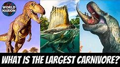 TOP 10 Largest Carnivorous Dinosaurs!