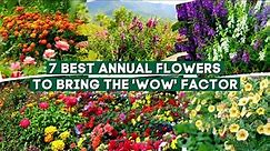 7 Best Annual Flowers and Plants to Bring the 'Wow' Factor 🌻✨🌹