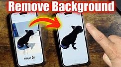 How To Remove Background From iPhone Photos - iPhone Photo Cutout