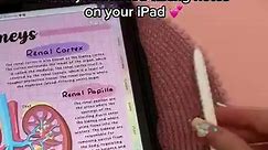 iPad note taking 💕 using noteful app & my HappyDownloads digital notebook 🔗 in my b!o ✨ #ipad #ipadnotes #digitalnotes #applepencil #studynotes #notetaking #digitalplanner #digitalplanning #ipadpro | HappyDownloads