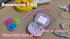 Hello Kitty Flip Phone Update: Answering FAQ