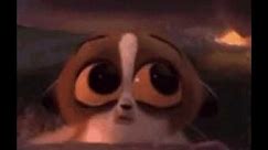 Mort from Madagascar crying