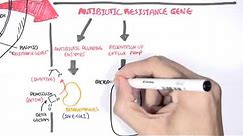 Microbiology - Bacteria Antibiotic Resistance