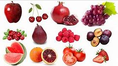 Learn Red Fruits in English! Red Fruits Vocabulary! Apple,Pear,Plum& More! Red Fruits Glossary 🍎🍒🍓🍅🍉