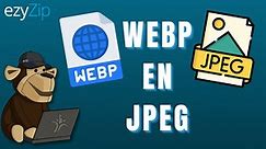 Convertissez WEBP en JPEG en ligne (Rapide !)