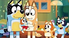 The Birth Of Bluey And Bingo's New Little Brother In Season 4?!