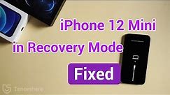 How to Fix iPhone 12 Mini Recovery Mode (4 Ways)
