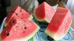 Seedless Watermelon vs Seeded Watermelon Comparison (Review 2)