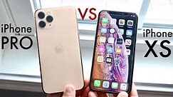 iPhone 11 Pro Vs iPhone XS! (Comparison) (Review)