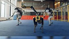 Boston Robots Show Off Their Truly Impressive Dance Skills - video Dailymotion