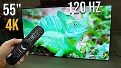 LG OLED EVO Gallery Edition 4K 55 inch TV with 120Hz refresh rate