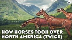 How Horses Took Over North America (Twice)