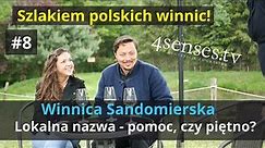 Szlakiem Polskich Winnic #8 | Winnica Sandomierska | Czy lokalna nazwa pomaga, czy jest piętnem?